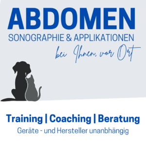 Abdomen Sonografie Training