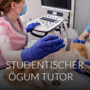AUSBILDUNG: Studentischer ÖGUM TutorIn Veterinärmedizin, 01. Jänner 2026<br>ab dem 7. Semester