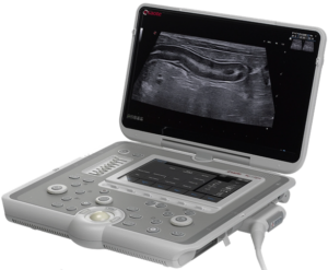 esaote MyLab Sigma vet